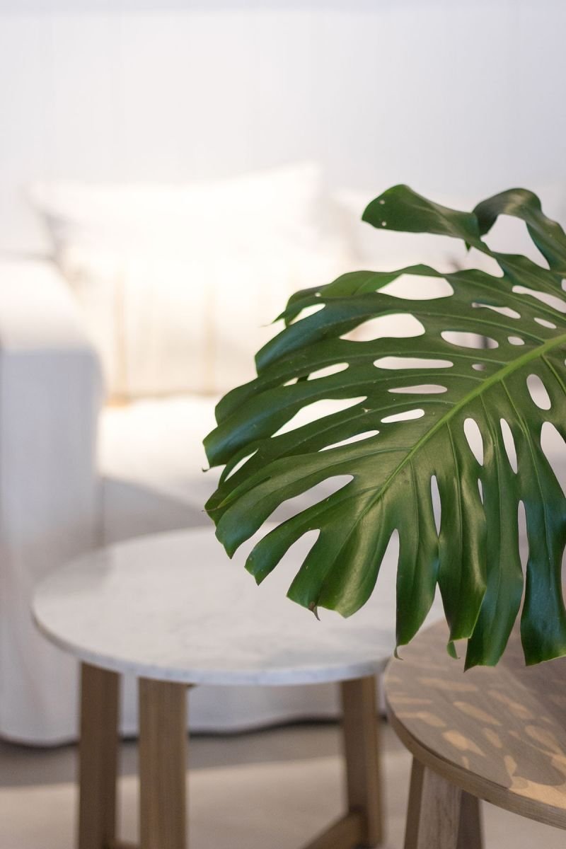 Domus dise&ntilde;o and deco 3