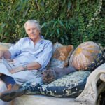 Estudio Pastor Arquitectura