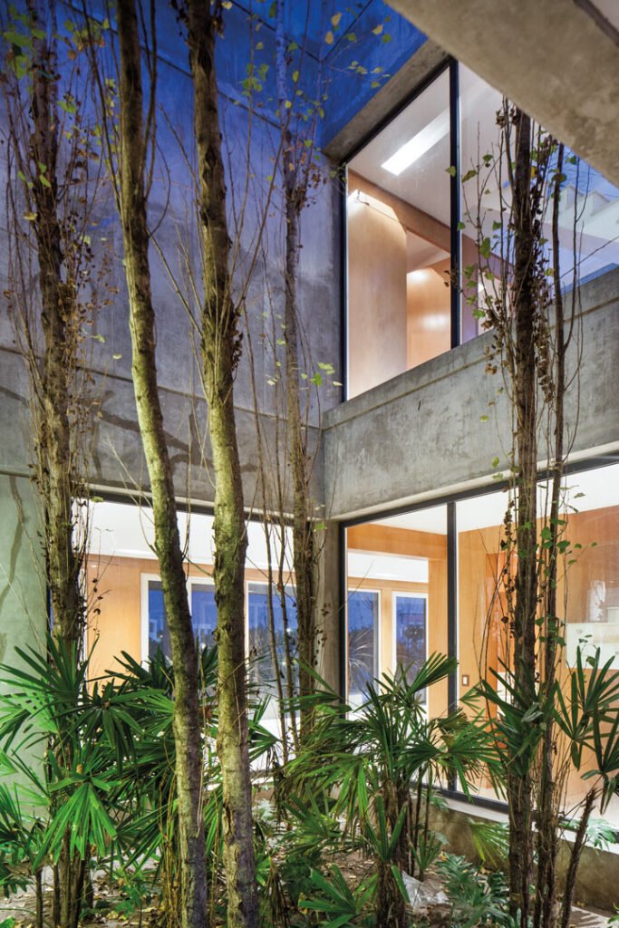 Patio interno - Casa Racionalismo en Hormigón I - Buenos Aires, Tigre, Nordelta, Barrio El Golf