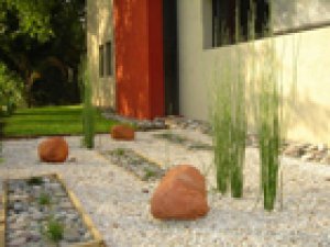 Como armar jardines secos - Featured Image