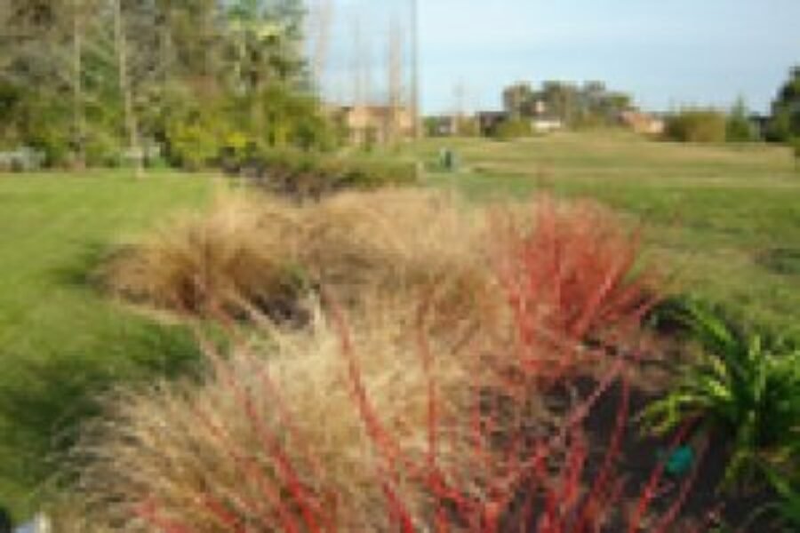 Jardines de Invierno