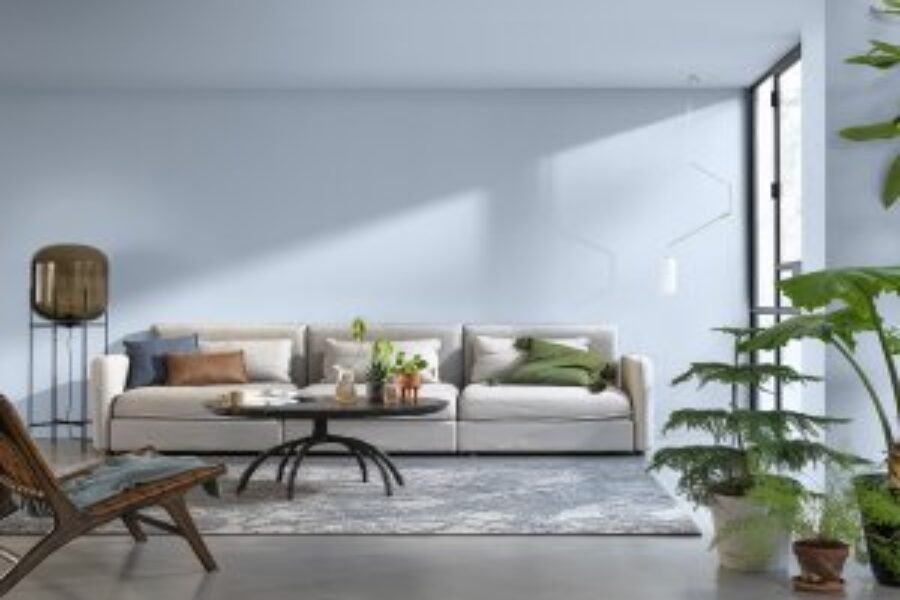 Coulis de Arándano es el color del 2022