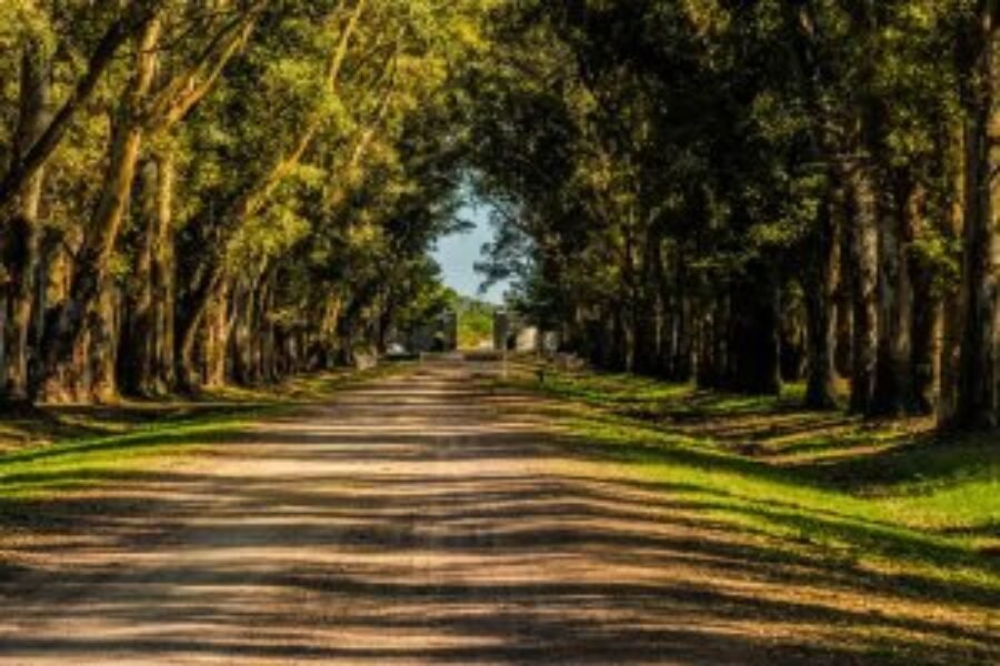 Informarse y visitar barrios para irse a vivir “al verde”